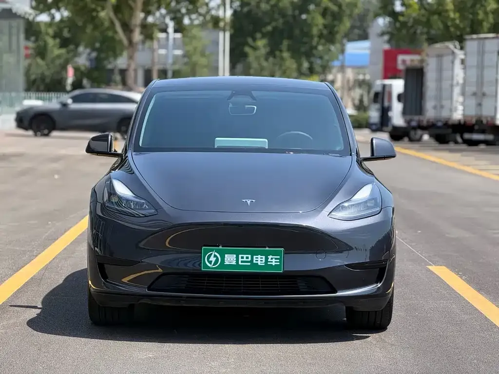 Tesla Model Y — фото 7