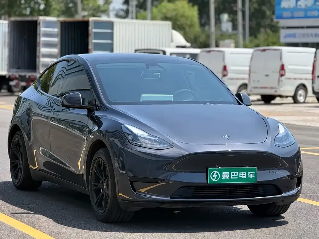 Tesla Model Y — фото 3