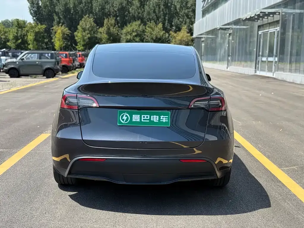 Tesla Model Y — фото 6