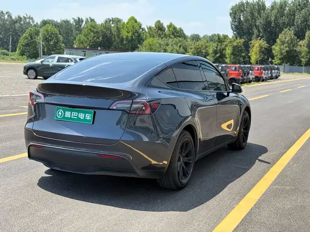 Tesla Model Y — фото 9