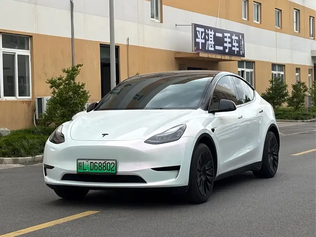 Tesla Model Y — фото 1
