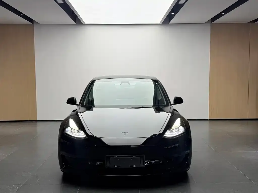 Tesla Model 3 — фото 2