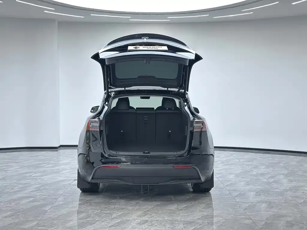 Tesla Model Y — фото 9