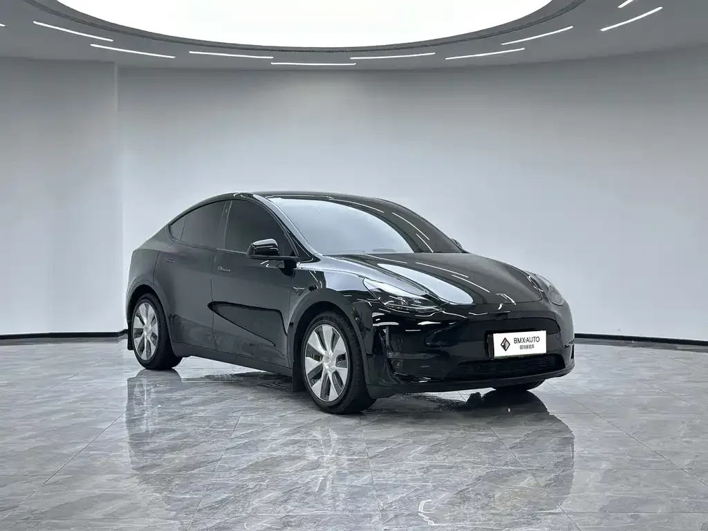 Tesla Model Y — фото 7