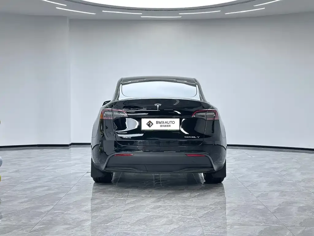 Tesla Model Y — фото 2