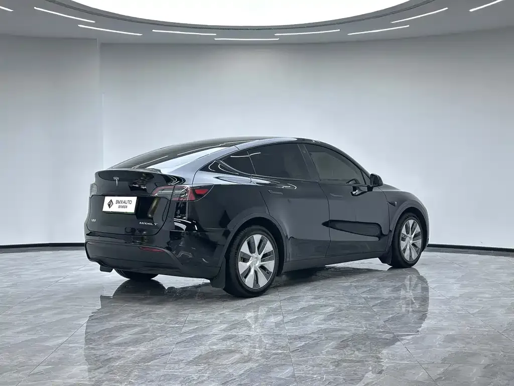 Tesla Model Y — фото 5