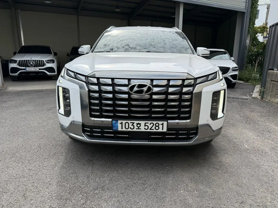 Hyundai Palisade — фото 10