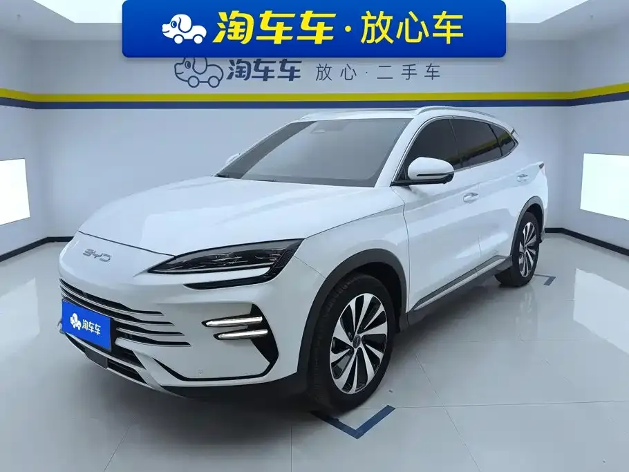 BYD PLUS New Energy — фото 1