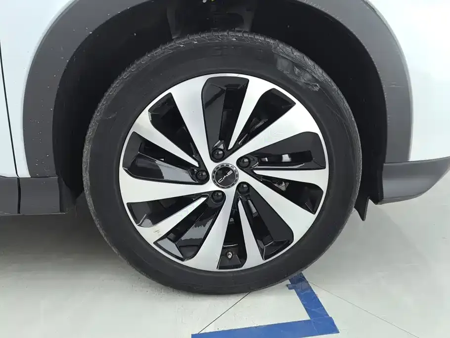 BYD PLUS New Energy — фото 2