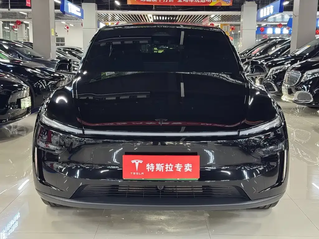 Tesla Model Y — фото 8
