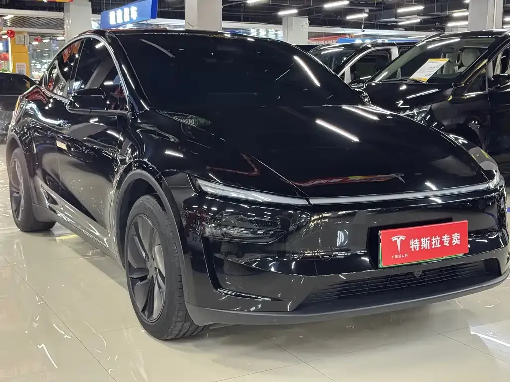 Tesla Model Y — фото 6