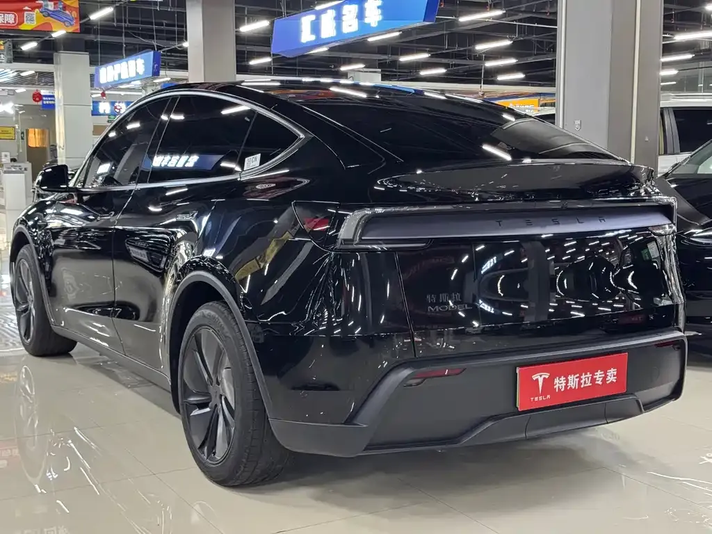 Tesla Model Y — фото 3
