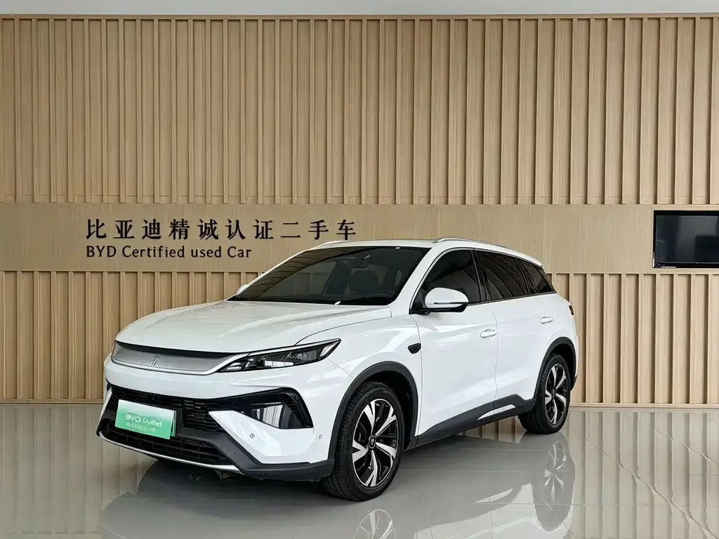 BYD Pro New Energy — фото 1