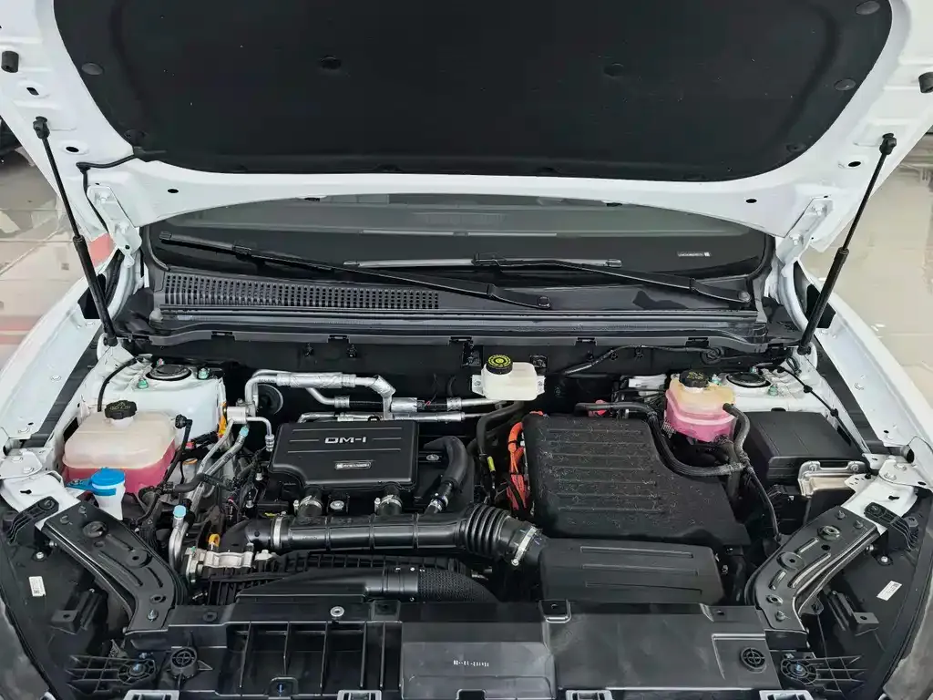 BYD Pro New Energy — фото 3