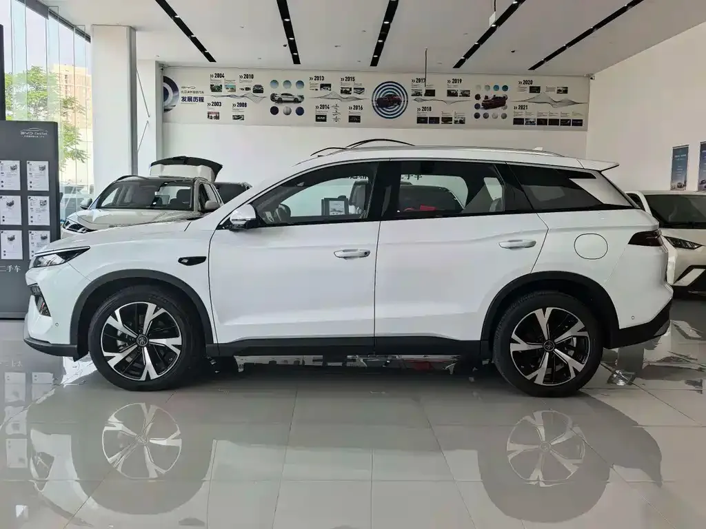 BYD Pro New Energy — фото 2