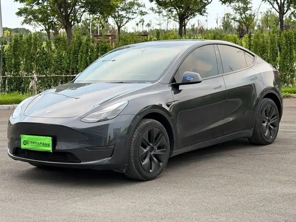 Tesla Model Y — фото 1