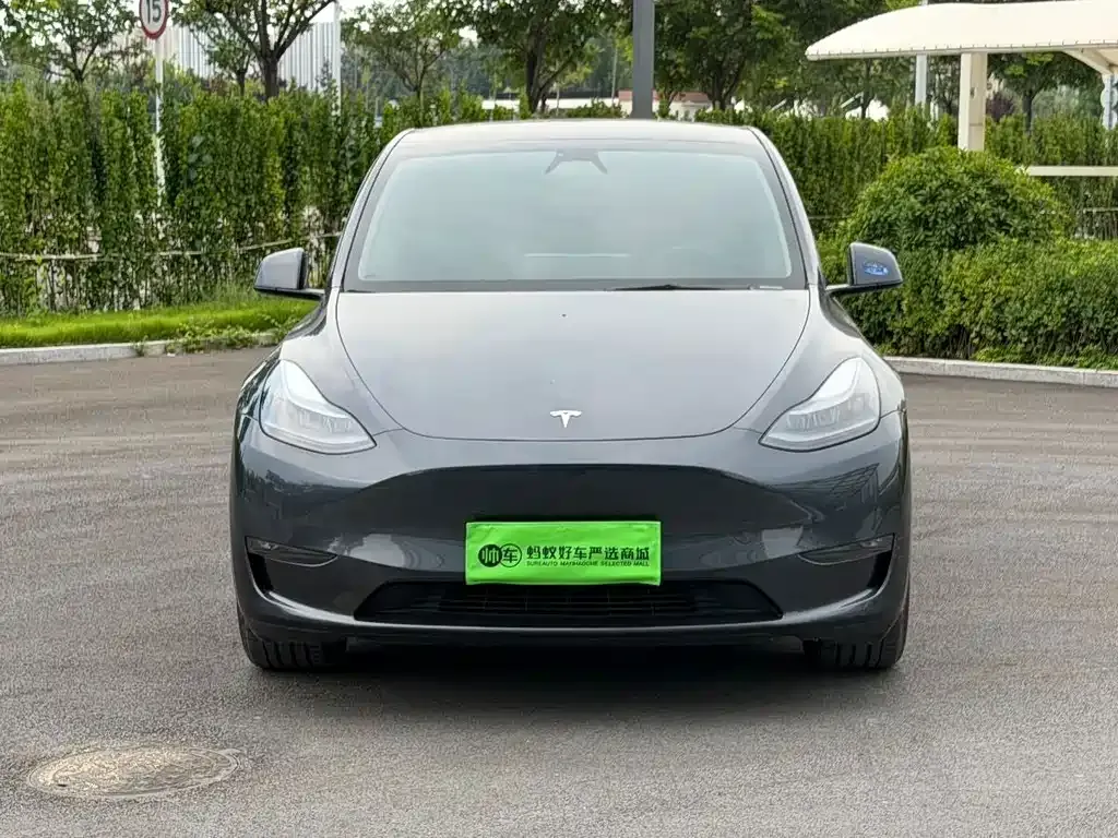 Tesla Model Y — фото 8