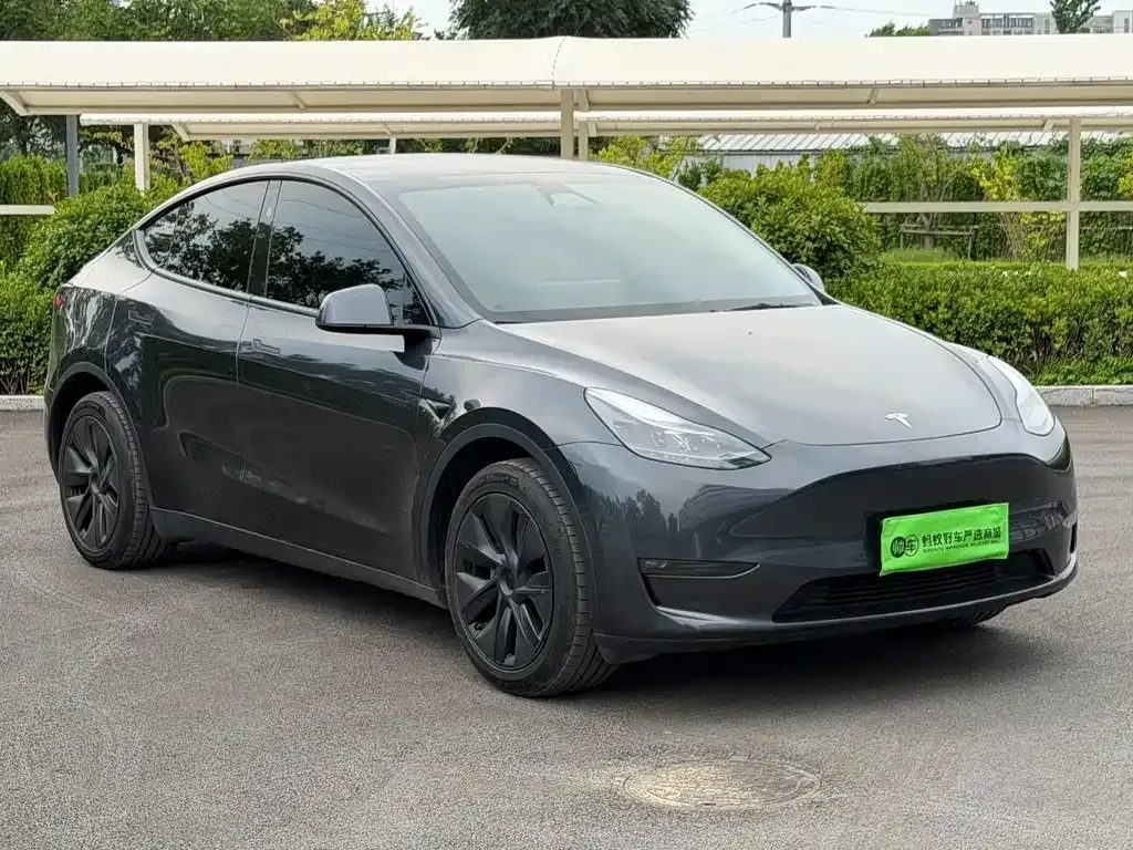 Tesla Model Y — фото 6