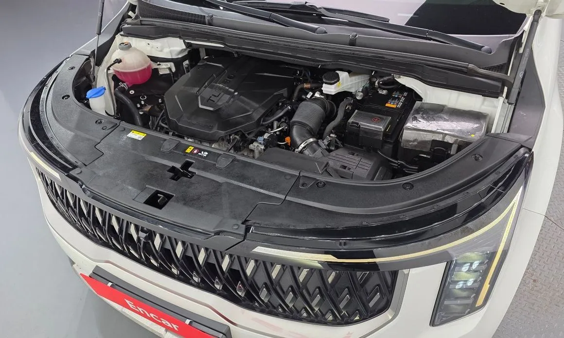 Kia Carnival — фото 10