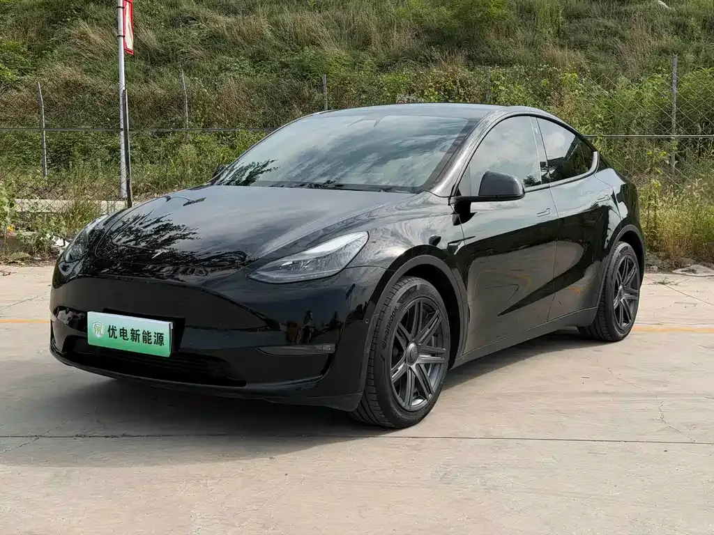 Tesla Model Y — фото 1