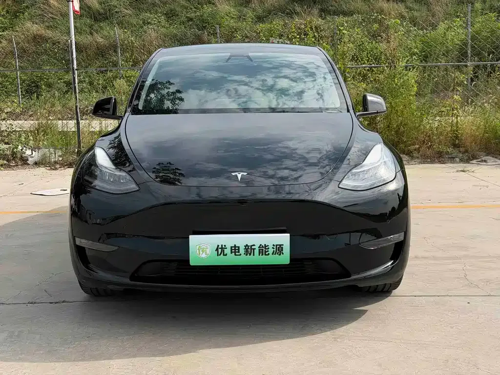 Tesla Model Y — фото 10