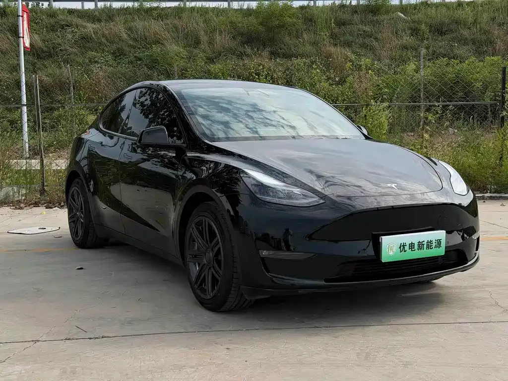 Tesla Model Y — фото 9