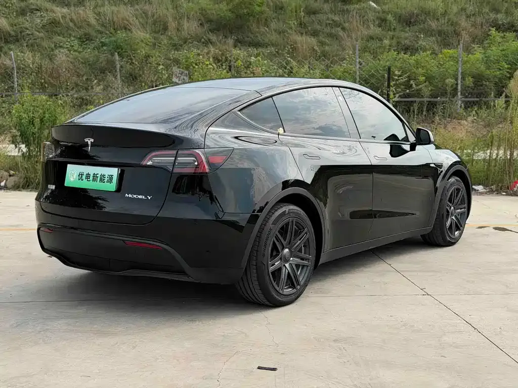 Tesla Model Y — фото 8