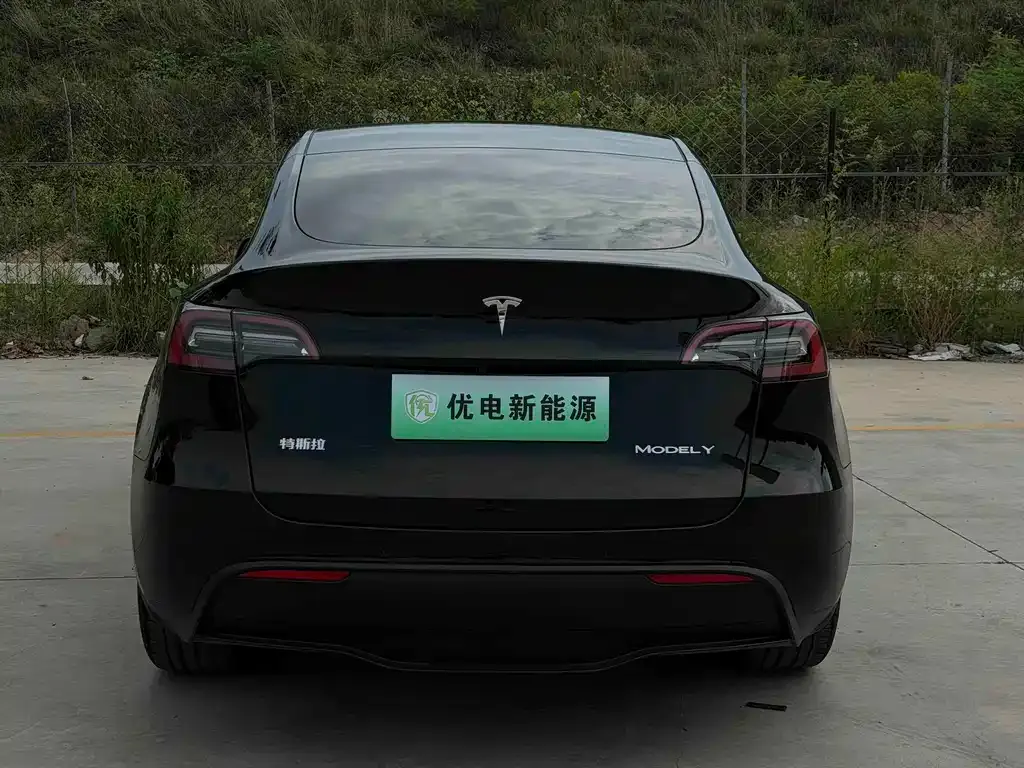 Tesla Model Y — фото 2