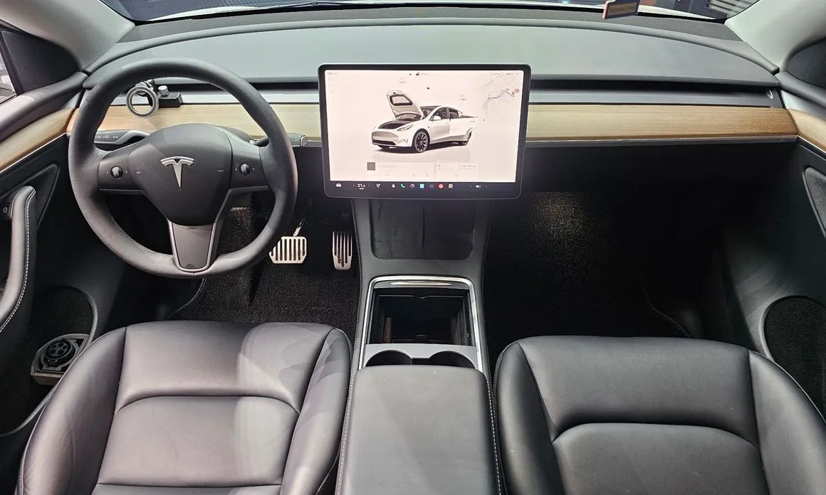 Tesla Model Y — фото 10
