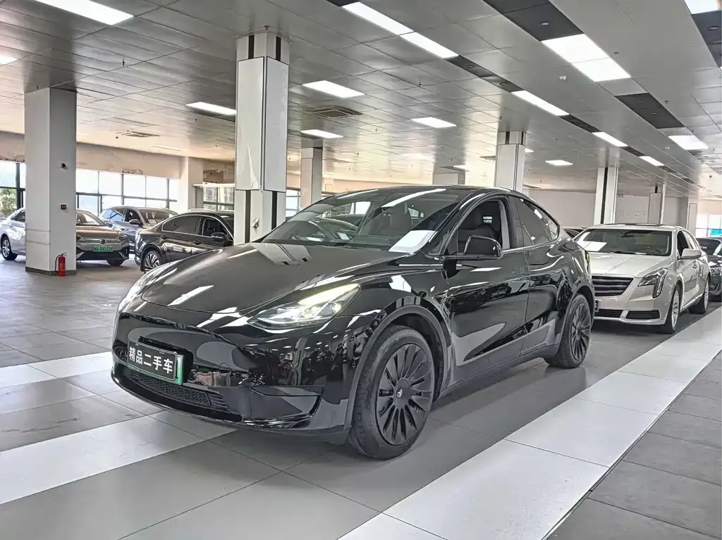 Tesla Model Y — фото 1
