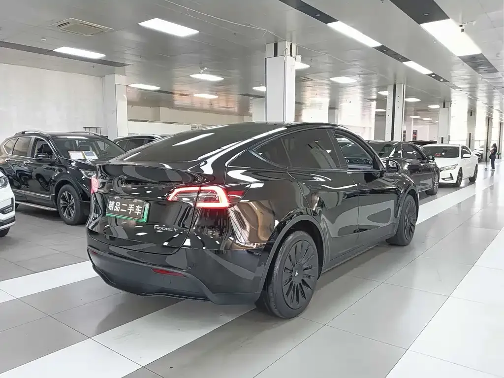 Tesla Model Y — фото 10