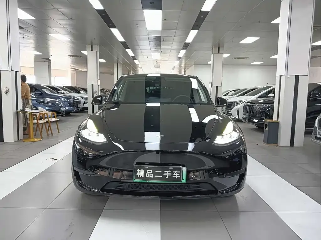Tesla Model Y — фото 2