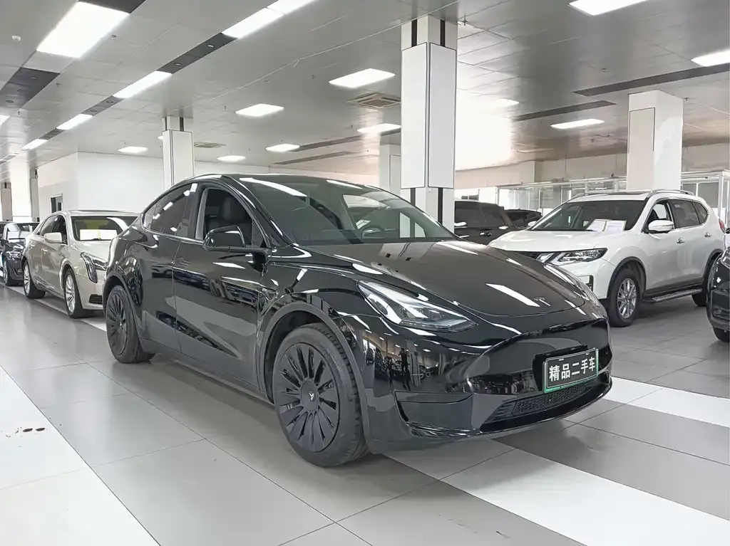 Tesla Model Y — фото 5