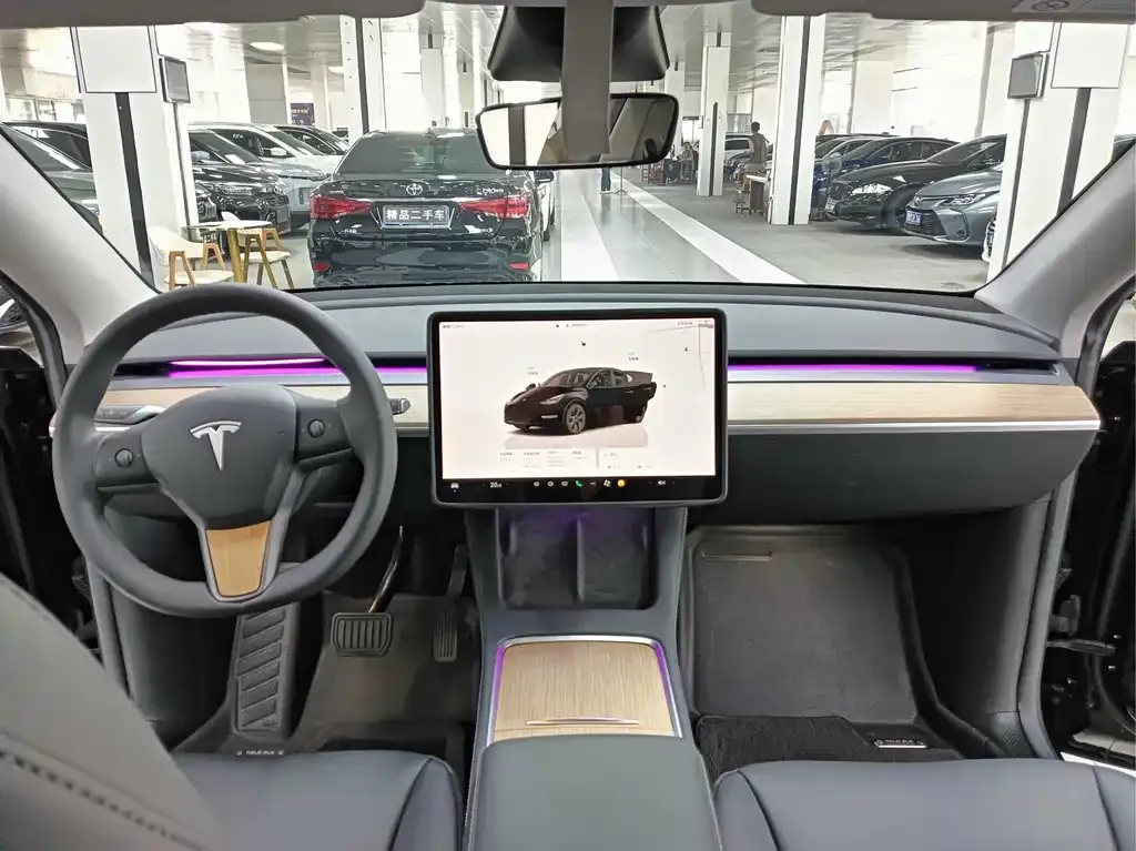 Tesla Model Y — фото 8