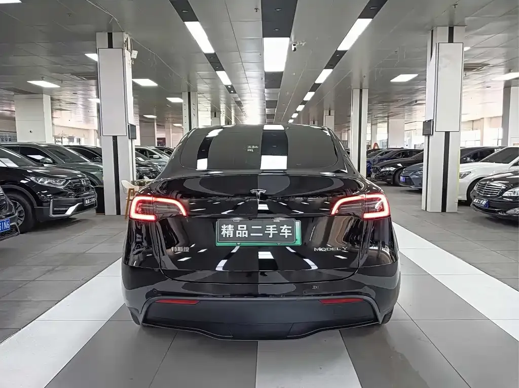 Tesla Model Y — фото 3