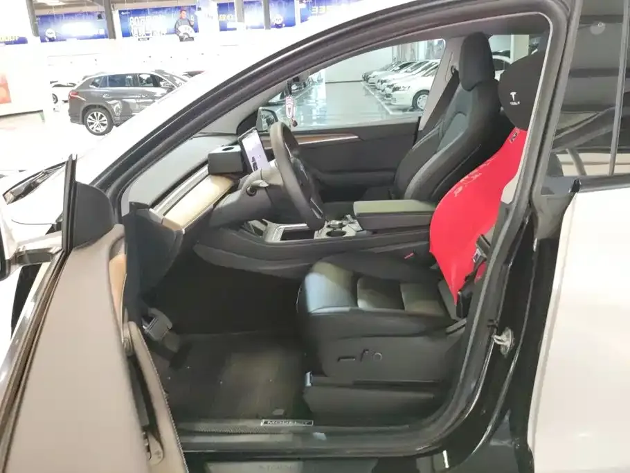 Tesla Model Y — фото 10