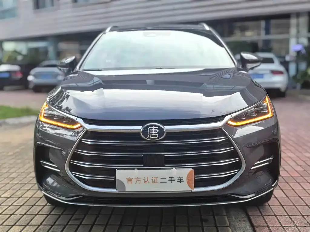 BYD Tang New Energy — фото 10