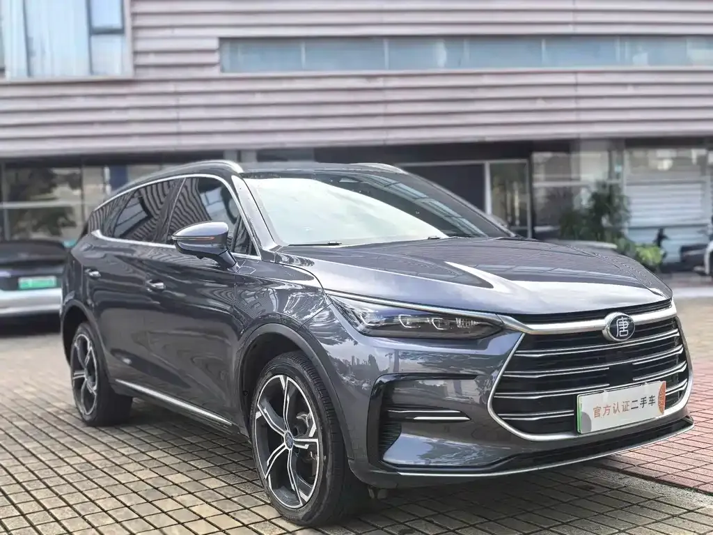 BYD Tang New Energy — фото 2