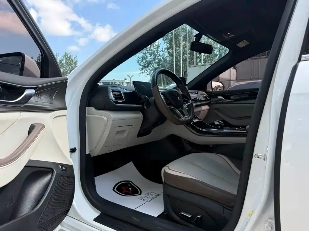 BYD Qin PLUS — фото 10