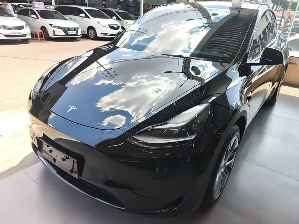Tesla Model Y — фото 1