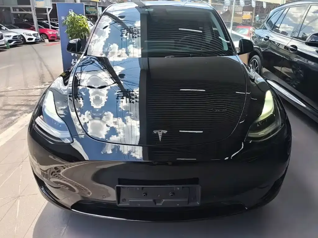 Tesla Model Y — фото 3