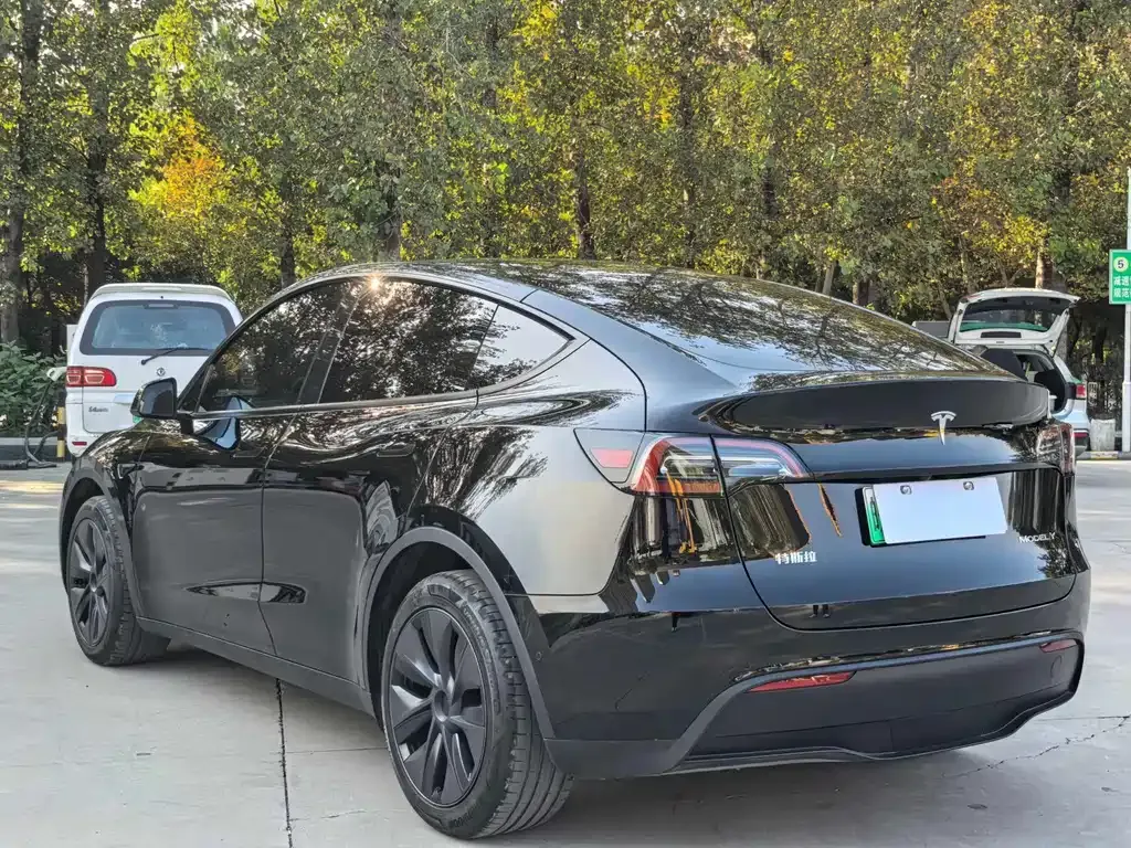 Tesla Model Y — фото 10