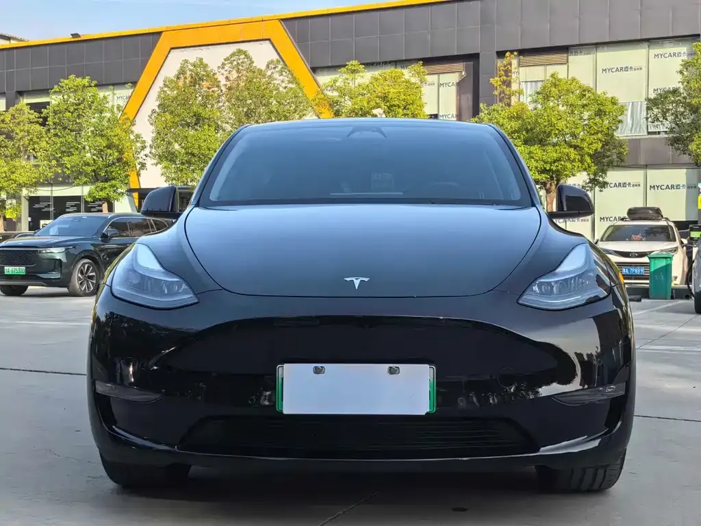 Tesla Model Y — фото 2