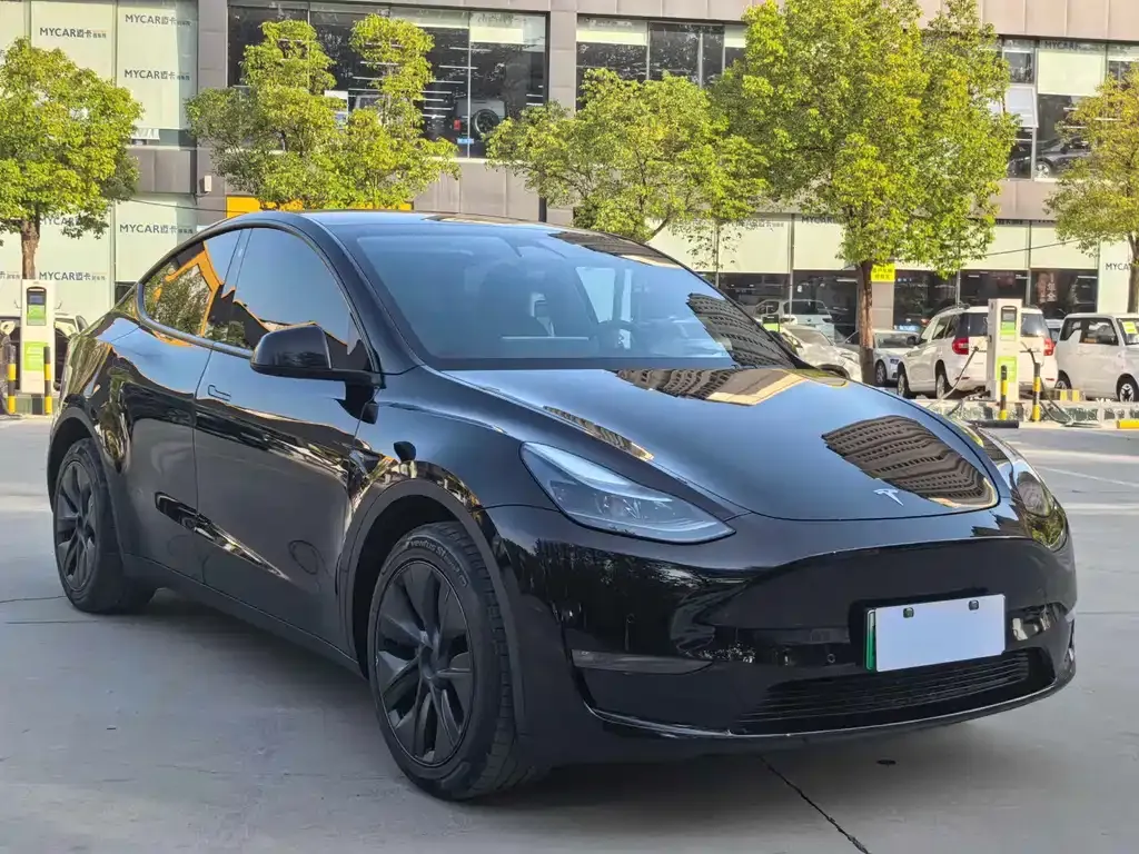 Tesla Model Y — фото 9