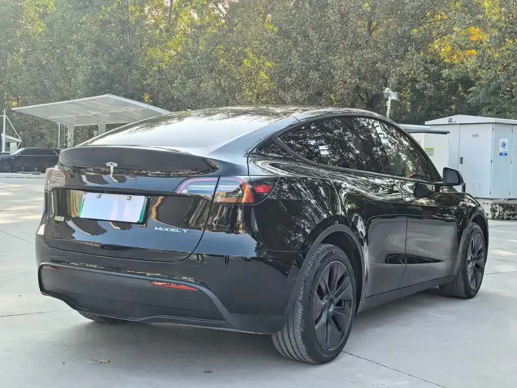 Tesla Model Y — фото 4