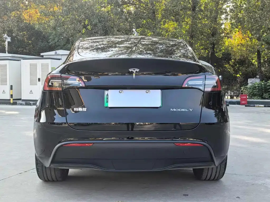 Tesla Model Y — фото 5