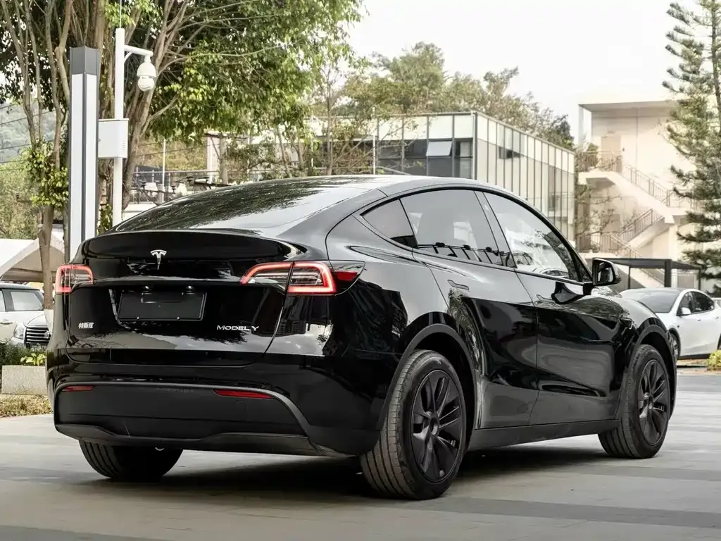 Tesla Model Y — фото 2