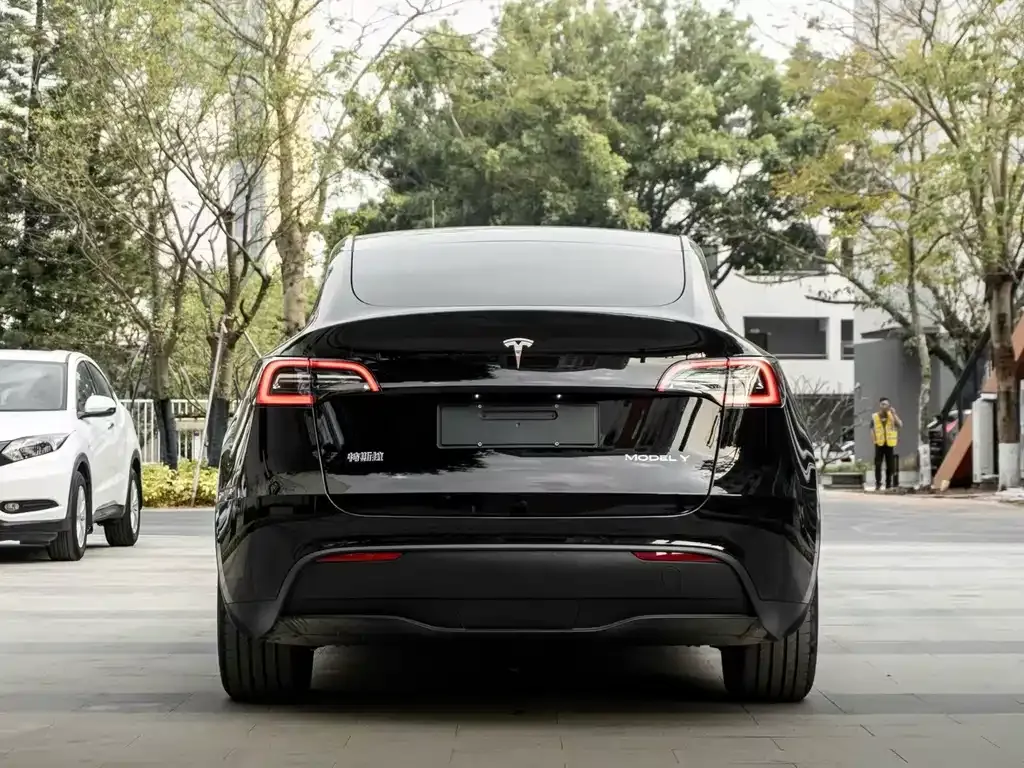 Tesla Model Y — фото 9
