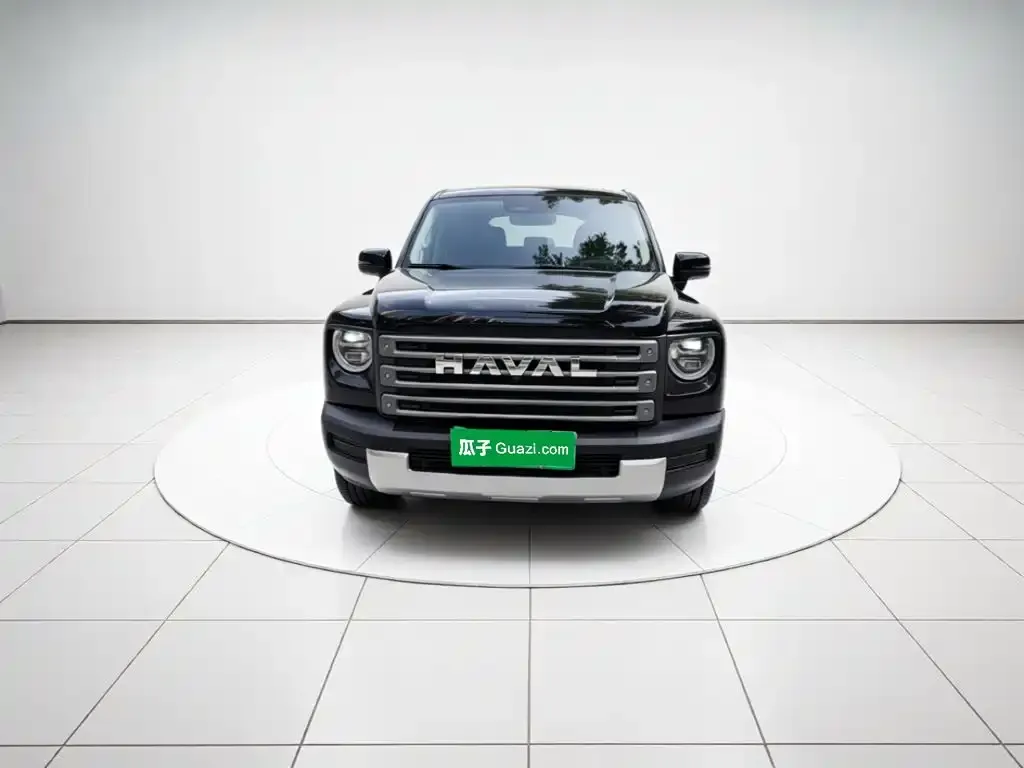 Haval Menglong New Energy — фото 2