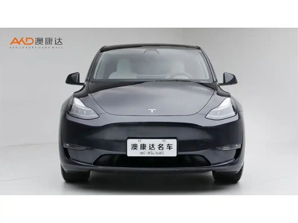 Tesla Model Y — фото 10